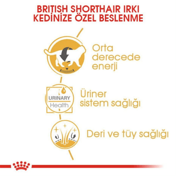 Royal Canin British Shorthair Adult Yetişkin Yaş Kedi Maması 85gr