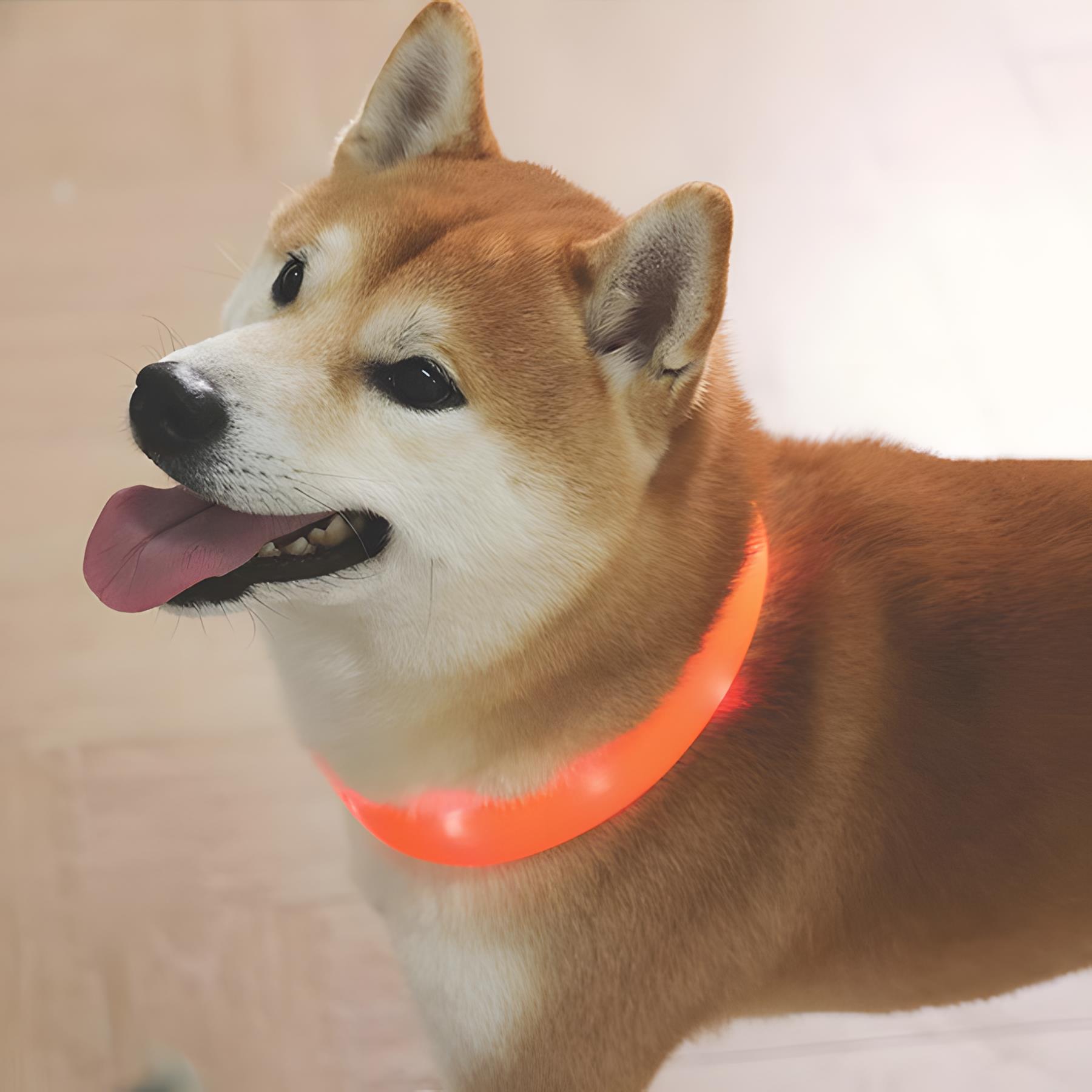 M-Pets Flash Ledli Boyun Tasması Neon Turuncu S