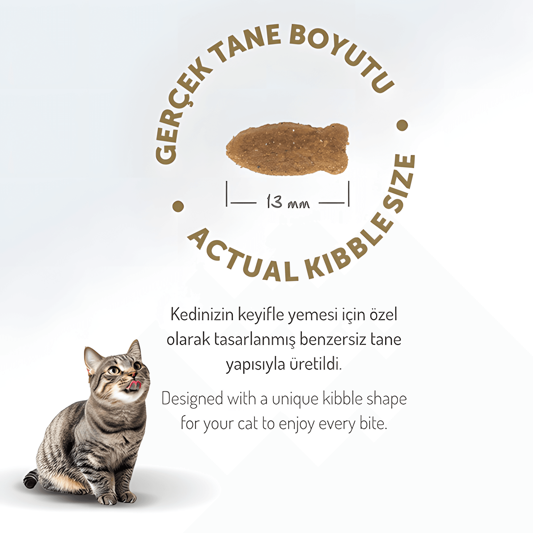 Felicia Az Tahıllı Somon Balıklı Hypoallergenic Kolajenli Yetişkin Kedi Maması 2Kg