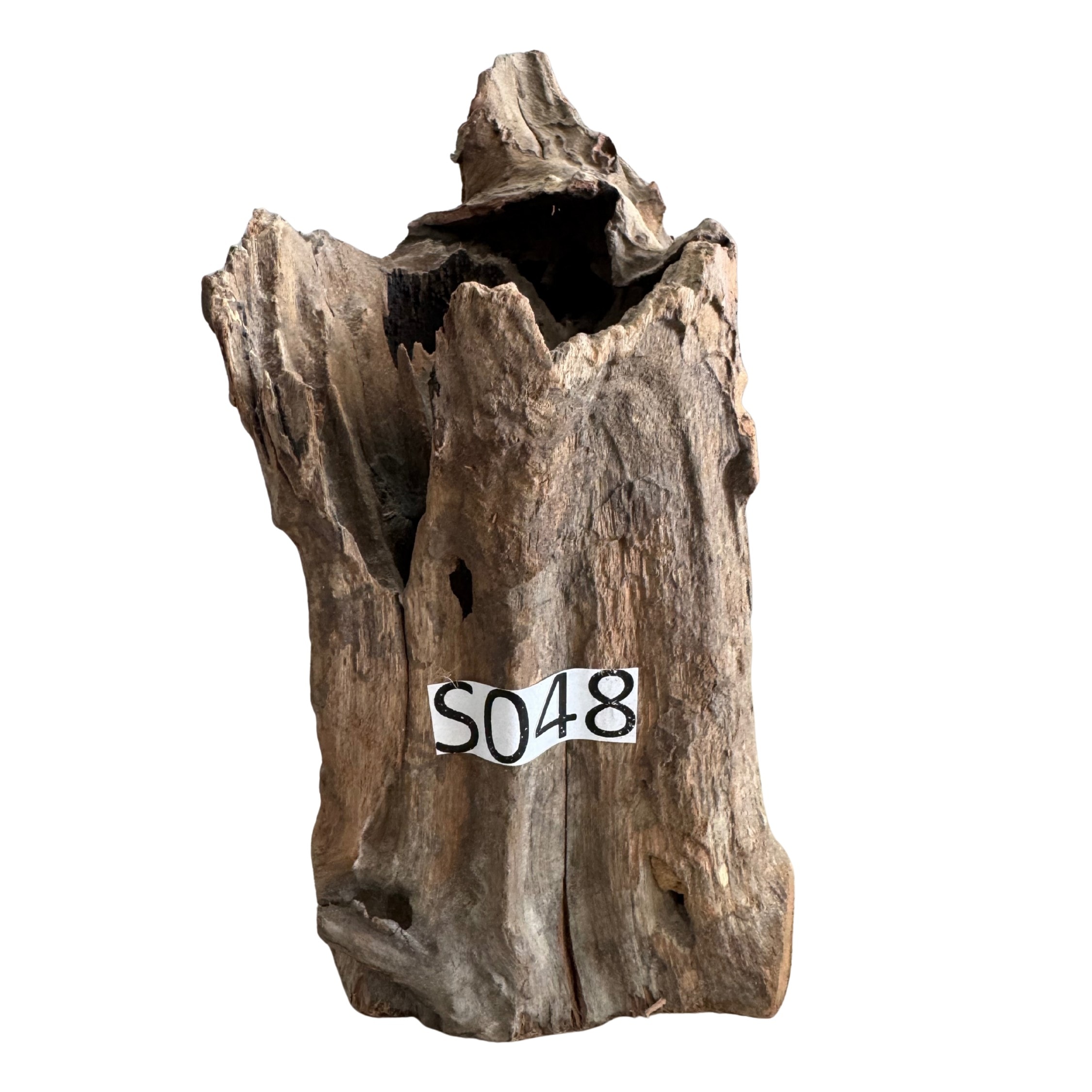 Creaqua Stump Wood Dekor Ağaç Gövdesi S 10-20 Cm - Small 48