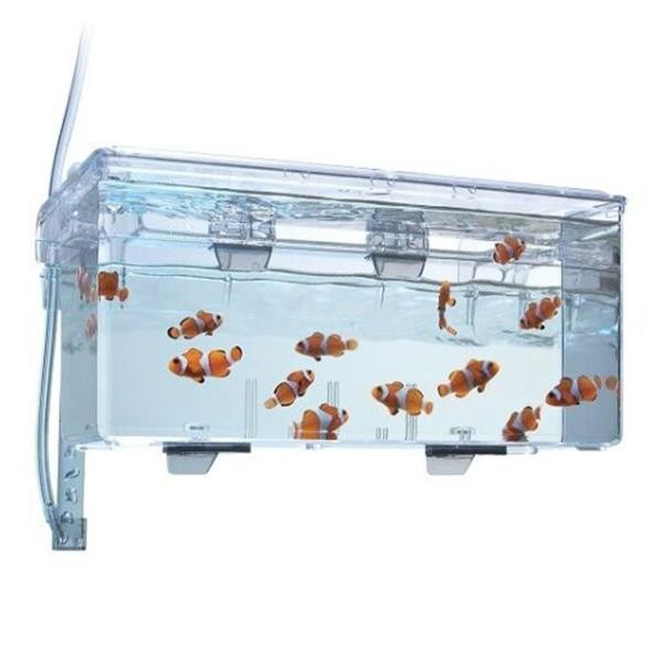 Fluval Askı Plastik Büyük Yavruluk 26x14x12cm