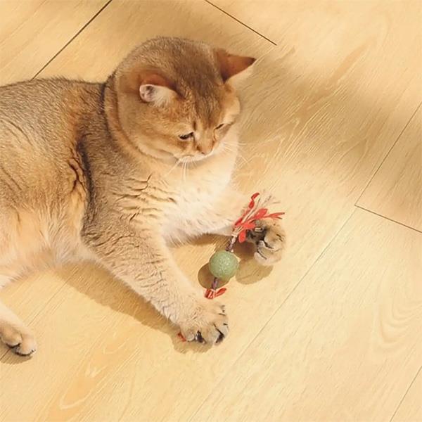 M-Pets Charmy Brancy Catnipli Kedi Oyuncağı Kırmızı