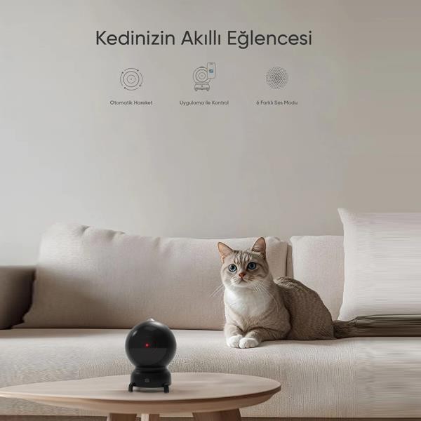 Şımart Akıllı Lazer Kedi Oyuncağı