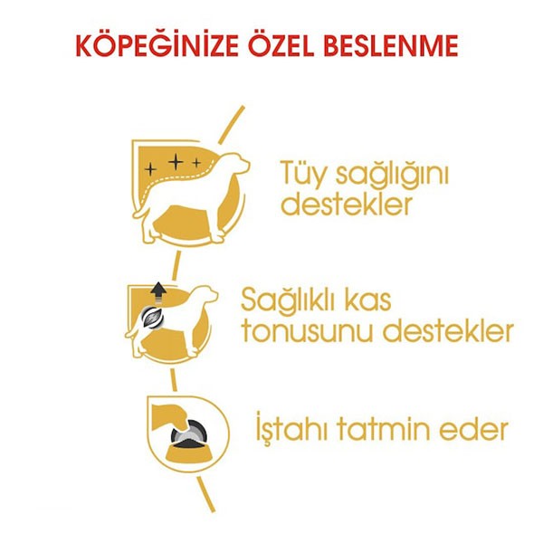 Royal Canin Poodle Pouch Yaş Köpek Maması 85gr