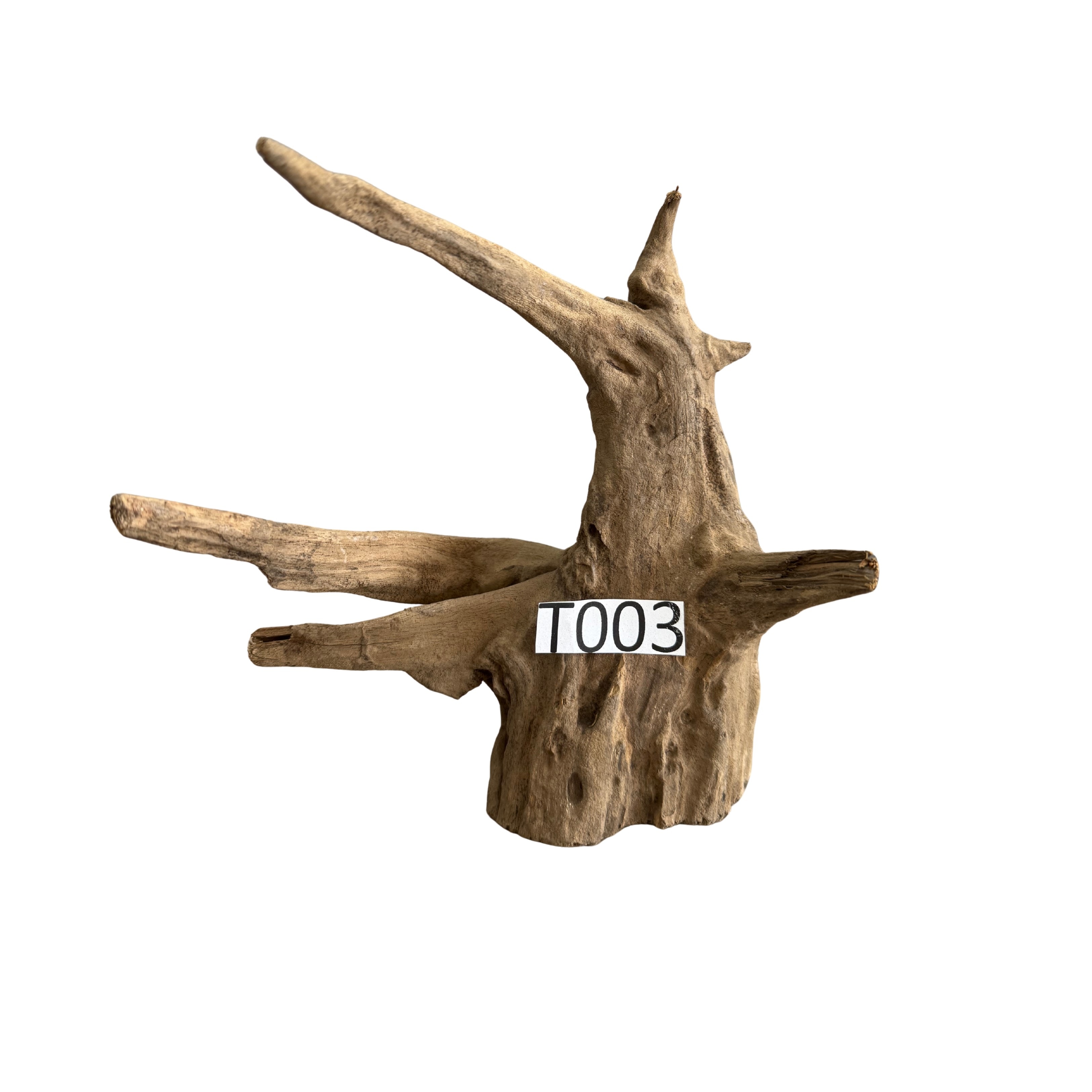 Creaqua Tree Root Dekor Ağaç Dalı 10-25 Cm - Tree Wood 3