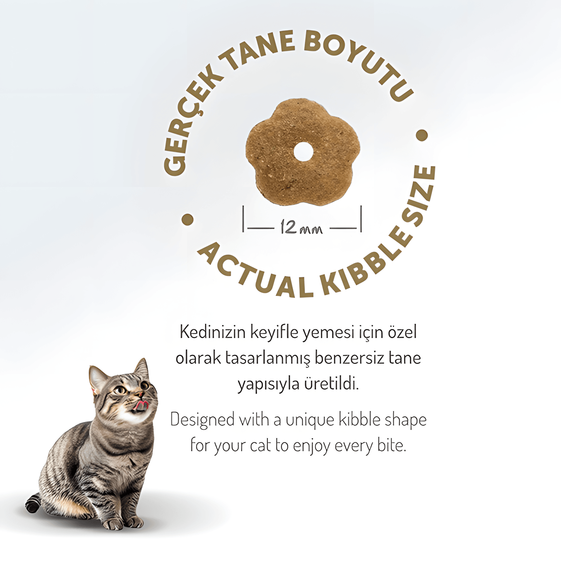 Felicia Az Tahıllı Tavuklu Hypoallergenic Kolajenli Yetişkin Kedi Maması 2Kg