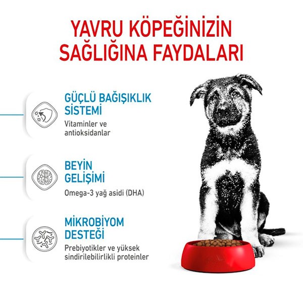 Royal Canin Maxi Puppy Yavru Köpek Maması 15 Kg
