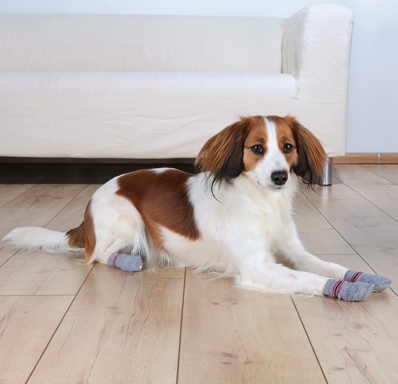 Trixie Köpek Çorabı Kaydırmaz 2 Adet Xs-S Chihuahua