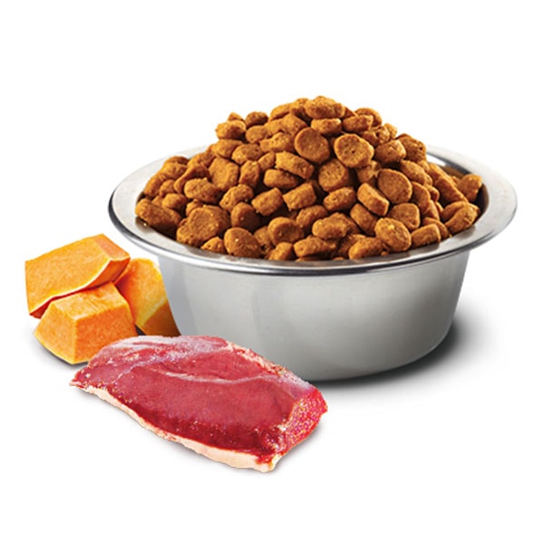 ND Pumpkin Ördek Etli Bal Kabaklı ve Kavunlu Tahılsız Yetişkin Kedi Maması 1,5Kg