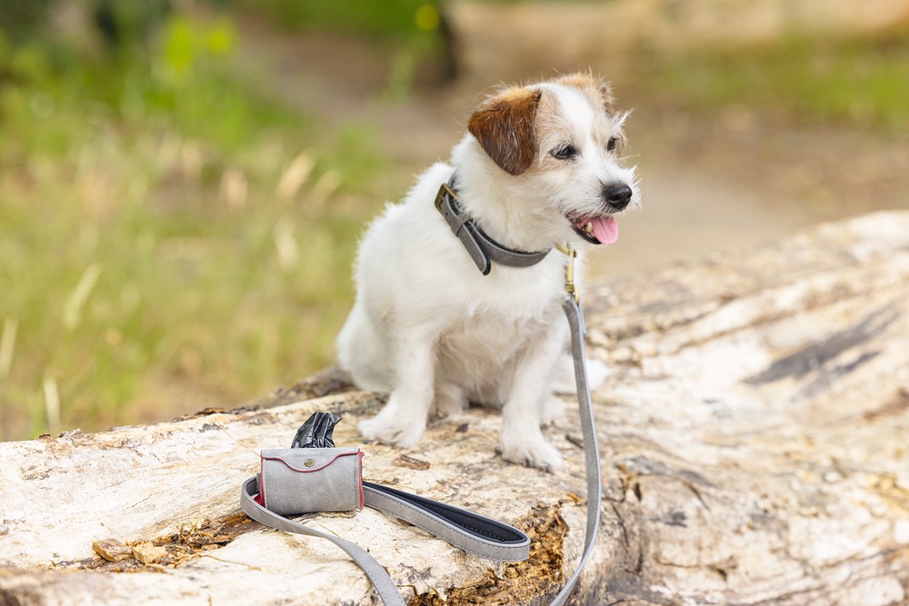 Beeztees Köpek Dışkı Toplama Poşeti Taşıma Çantası, Gri, 8x5x5cm