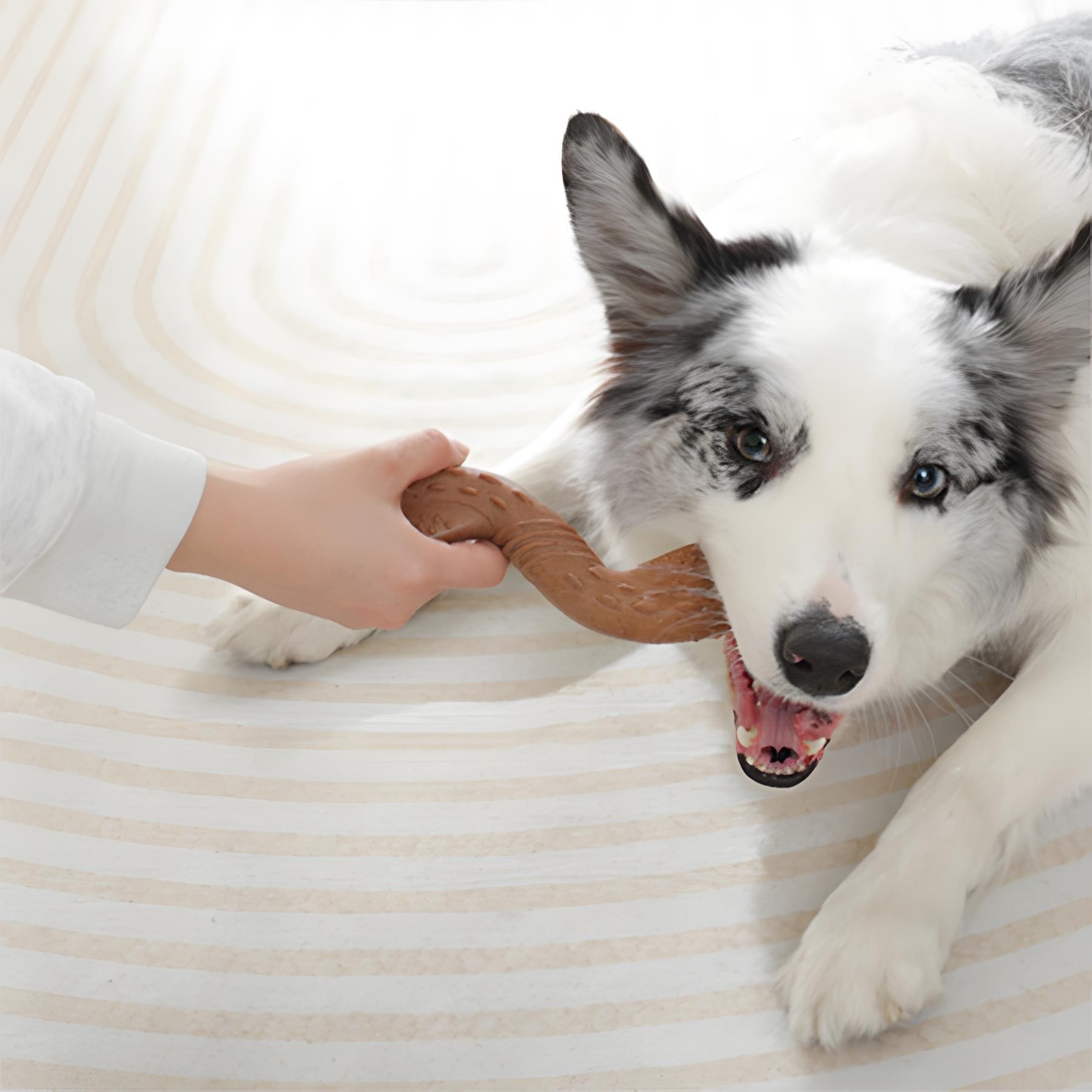 M-Pets Chewood Small Twist Köpek Oyuncağı