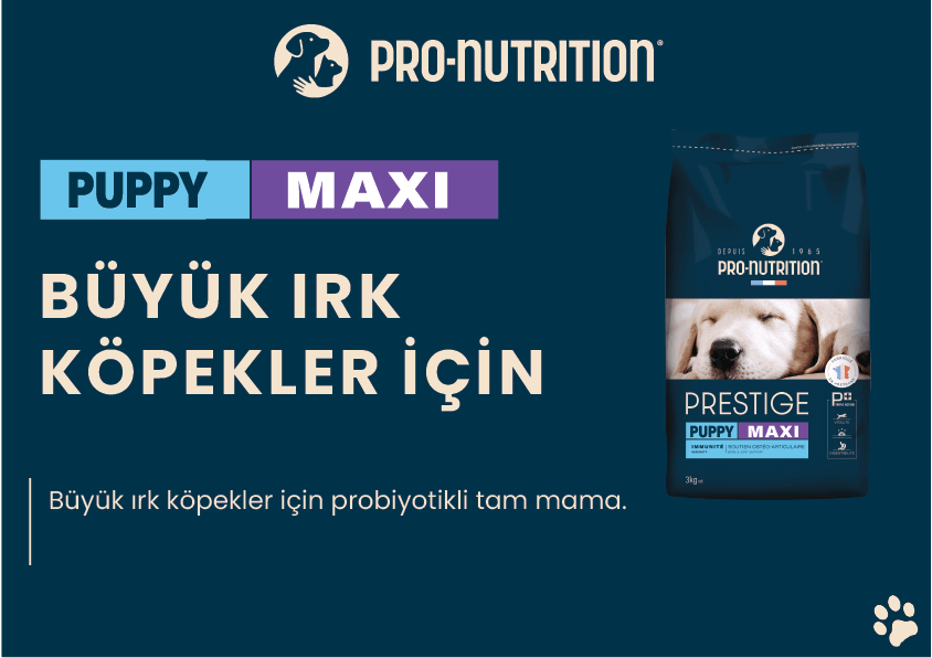 Pro Nutrition Prestige Puppy Maxi Büyük Irk Yavru Köpek Maması 15Kg