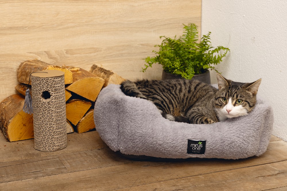 Beeztees Kedi Oyuncağı, Karton Silindir ve Püskül, 23x10x10cm