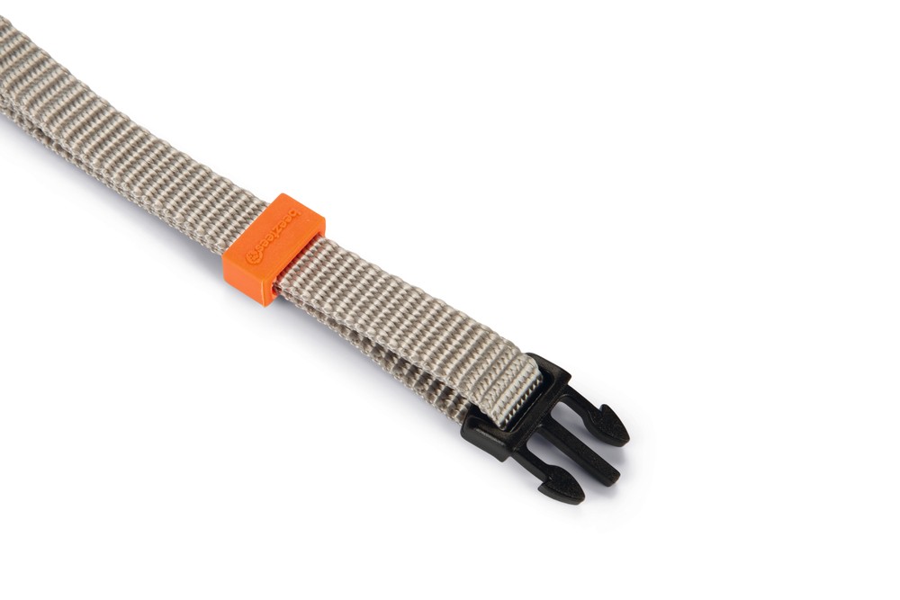 Beeztees Köpek Boyun Tasması, Açık Gri, 20-30cm