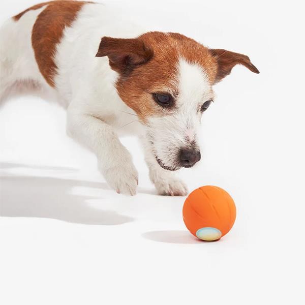 Cheerble Şarjlı Akıllı İnteraktif Köpek Oyun Topu Turuncu Small 5,5cm
