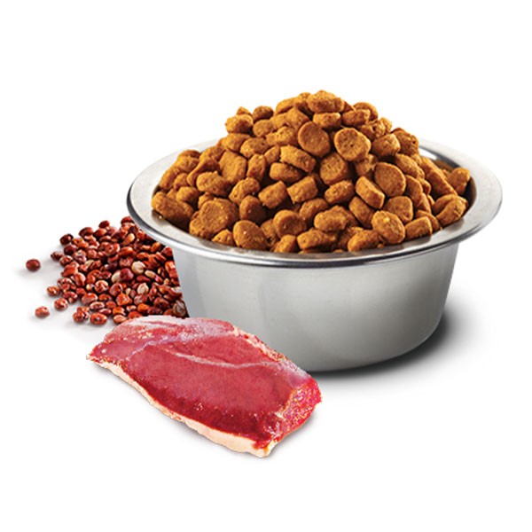 ND Quinoa Urinary Ördek ve Kinoalı İdrar Yolları Destekleyici Kedi Maması 5 Kg