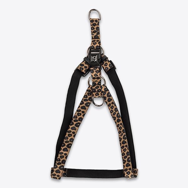 Occo Sienna Leopard Kelebek Köpek Göğüs ve Gezdirme Tasması Set Medium