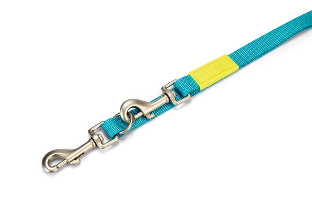 Beeztees Köpek Gezdirme Kayışı, Turkuaz, 200cm, 20mm