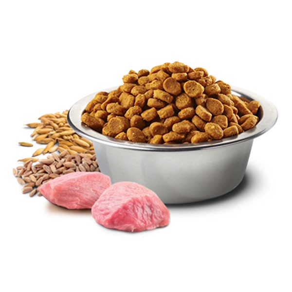 ND Düşük Tahıllı Kuzu Etli ve Yaban Mersinli Yetişkin Kedi Maması Paketten Bölme 1 Kg