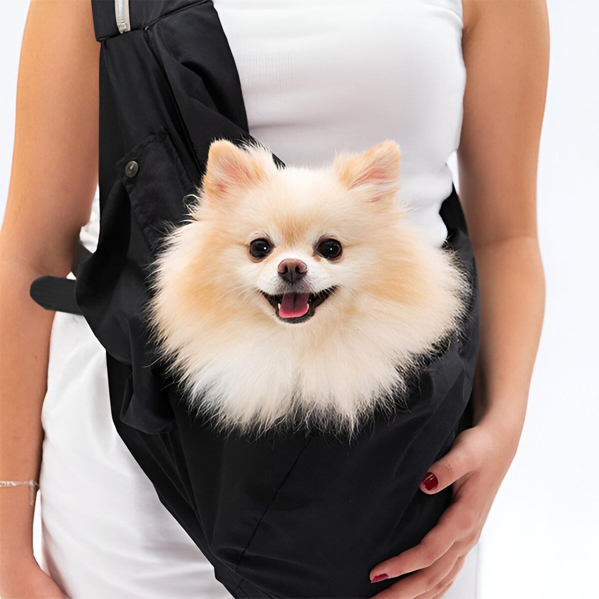 Pawstar Crossbody Kedi Köpek Taşıma Çantası Siyah