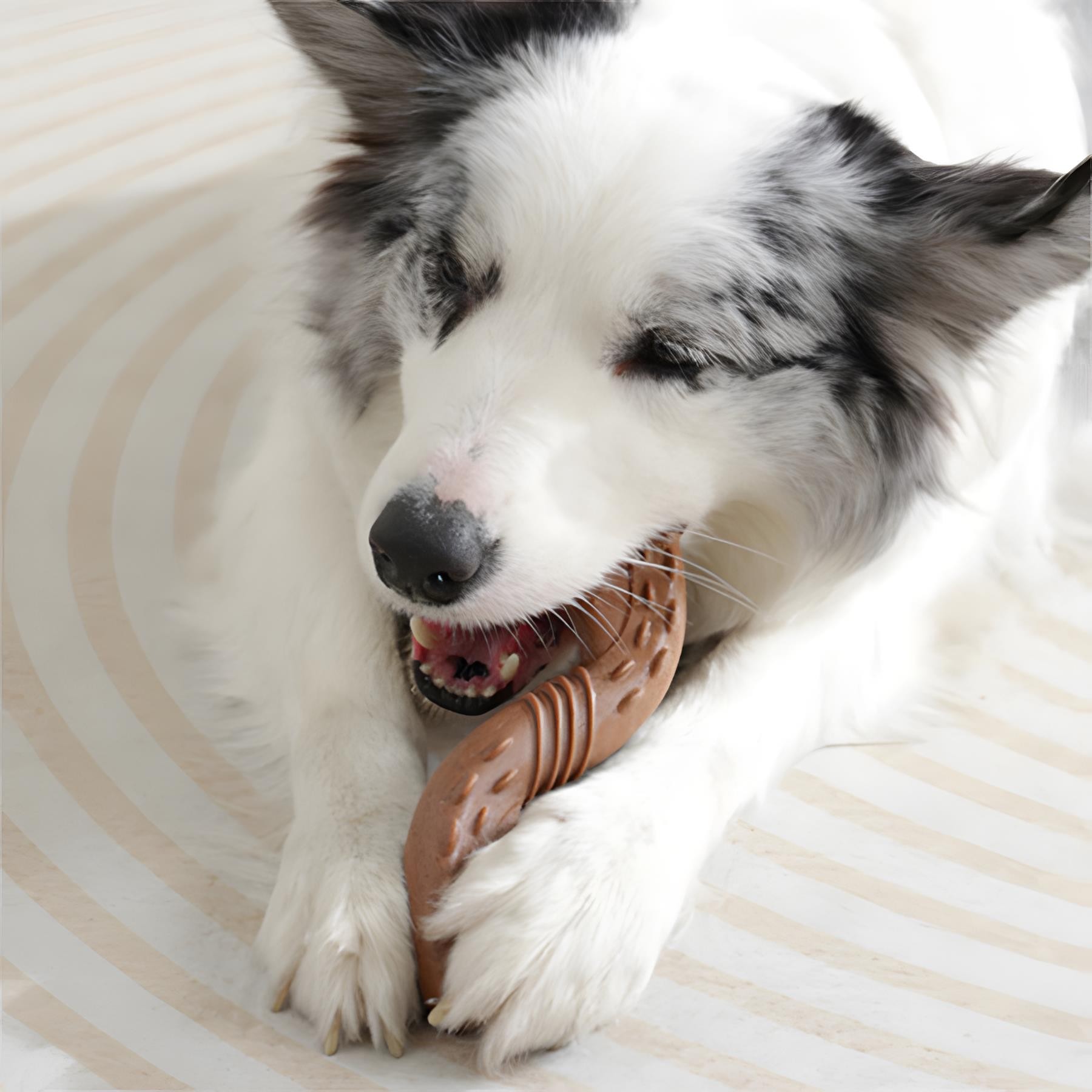 M-Pets Chewood Small Twist Köpek Oyuncağı
