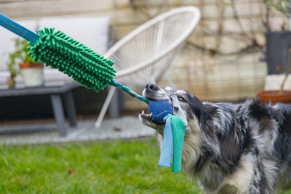 Beeztees Köpek Oyuncağı, Tut Getir Tenis Toplu, Peluş, Mavi-Yeşil, 90x10x6cm