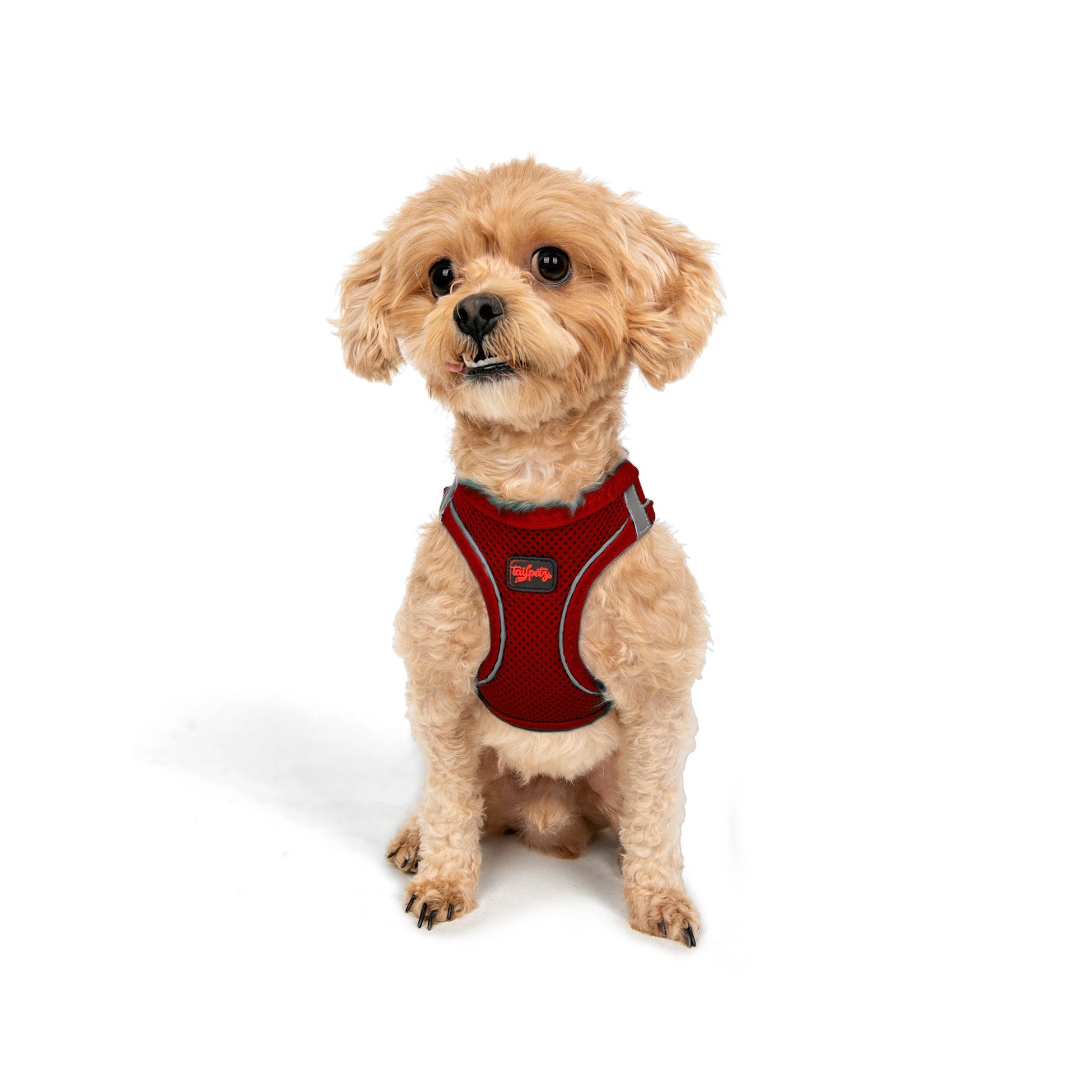 Tailpetz Air-Mesh Harness Red 2XS