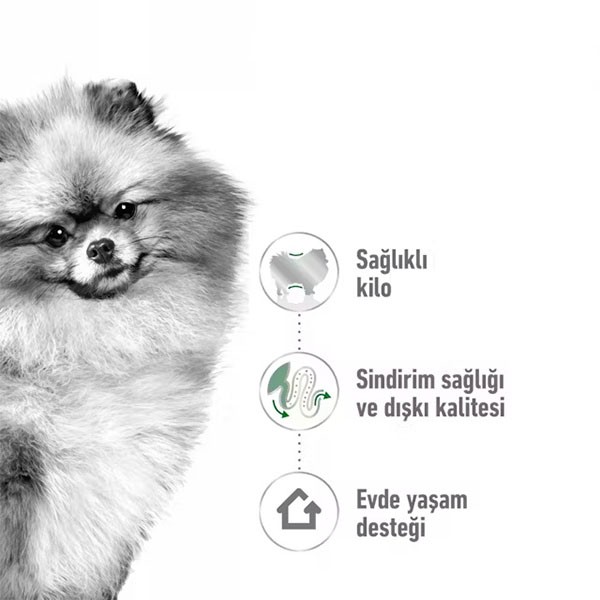 Royal Canin Mini Indoor Küçük Irk Yetişkin Köpek Maması 1,5Kg