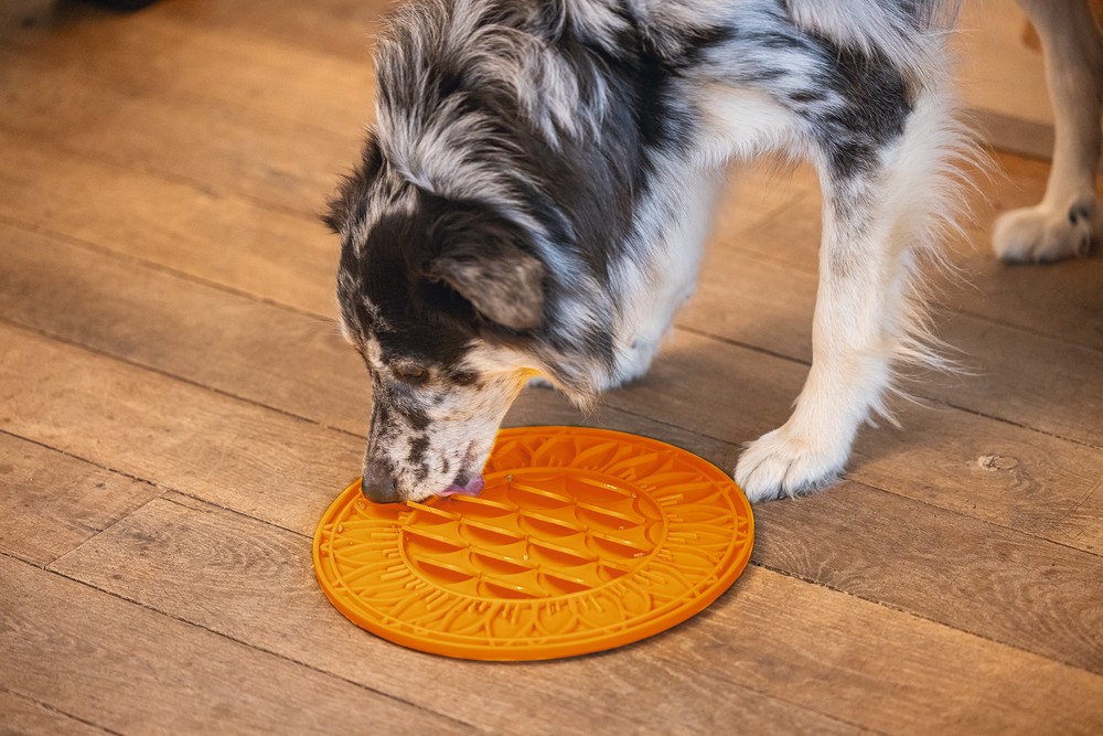Beeztees Yavru Köpek Mama Yeme Oyuncağı, Daire Şeklinde, Silikon, Turuncu, 30cm
