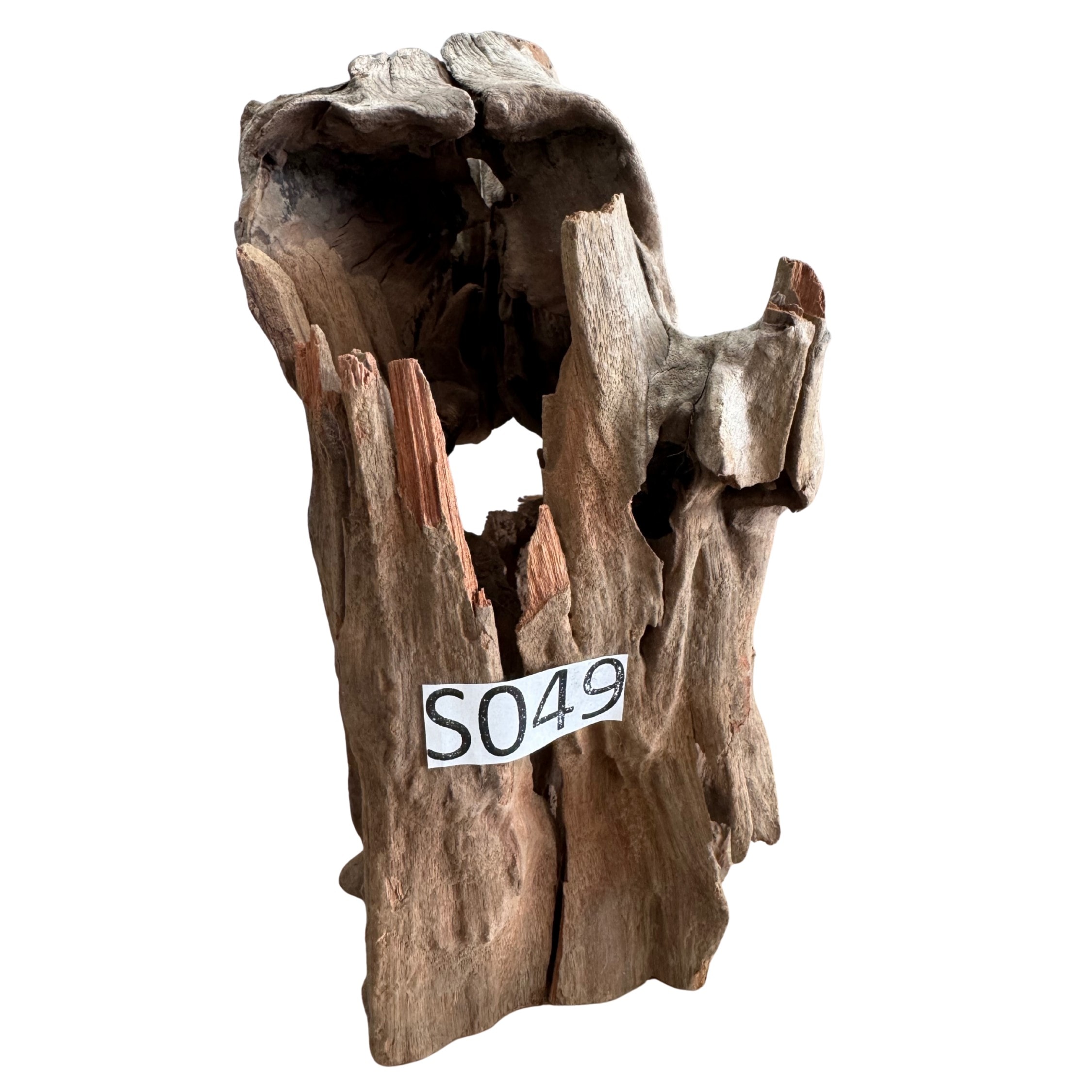Creaqua Stump Wood Dekor Ağaç Gövdesi S 10-20 Cm - Small 49