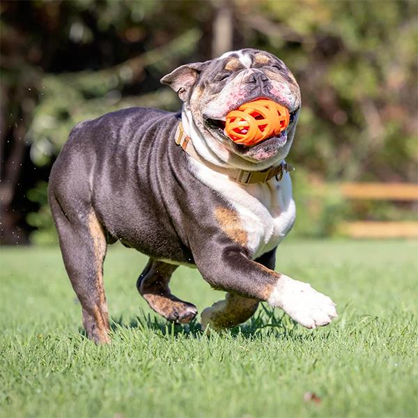 Chuckit Air Fetch Football Köpek Oyun Topu 14cm