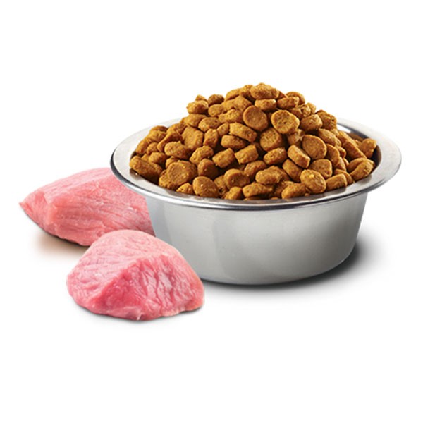 ND Tahılsız Kuzu Etli ve Yaban Mersinli Küçük Irk Yetişkin Köpek Maması 7 Kg