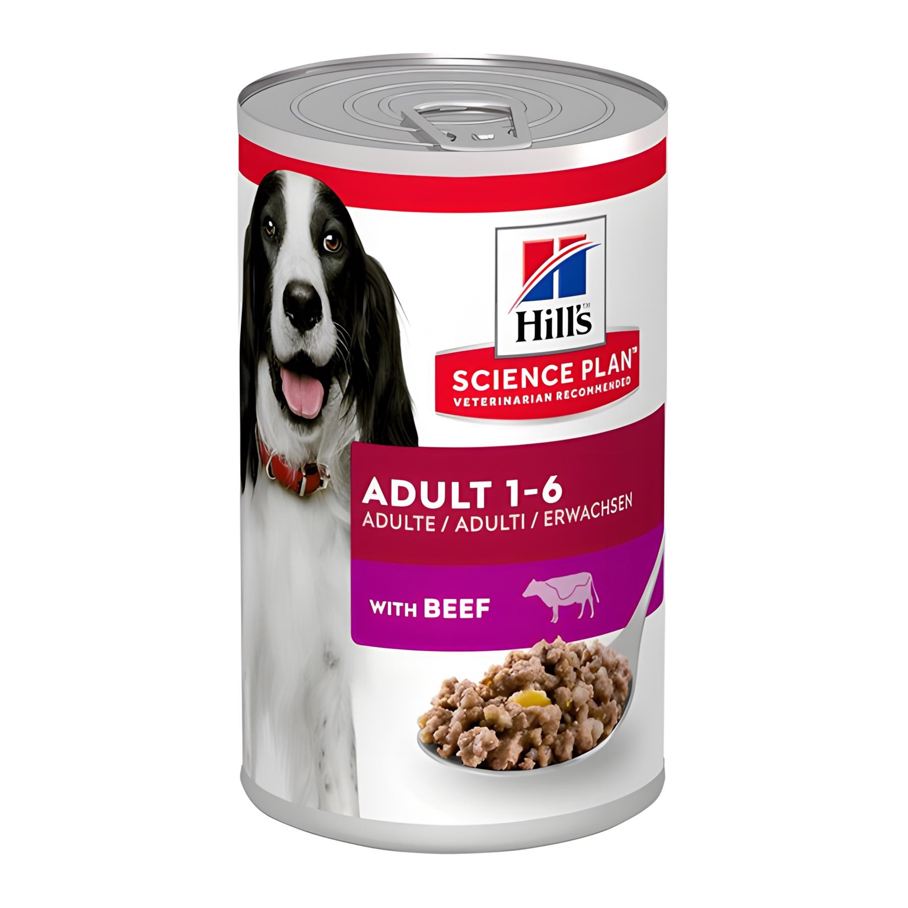 Hills Biftekli Konserve Yetişkin Köpek Maması 370gr