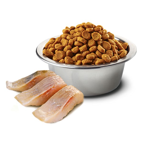ND Ocean Ringa Balığı ve Portakallı Tahılsız Kısırlaştırılmış Kedi Maması 5 Kg