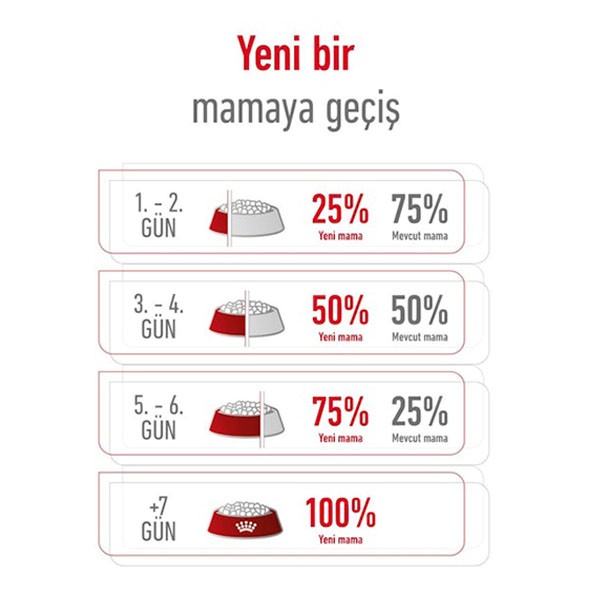 Royal Canin Mini Adult Yetişkin Köpek Maması 4 Kg