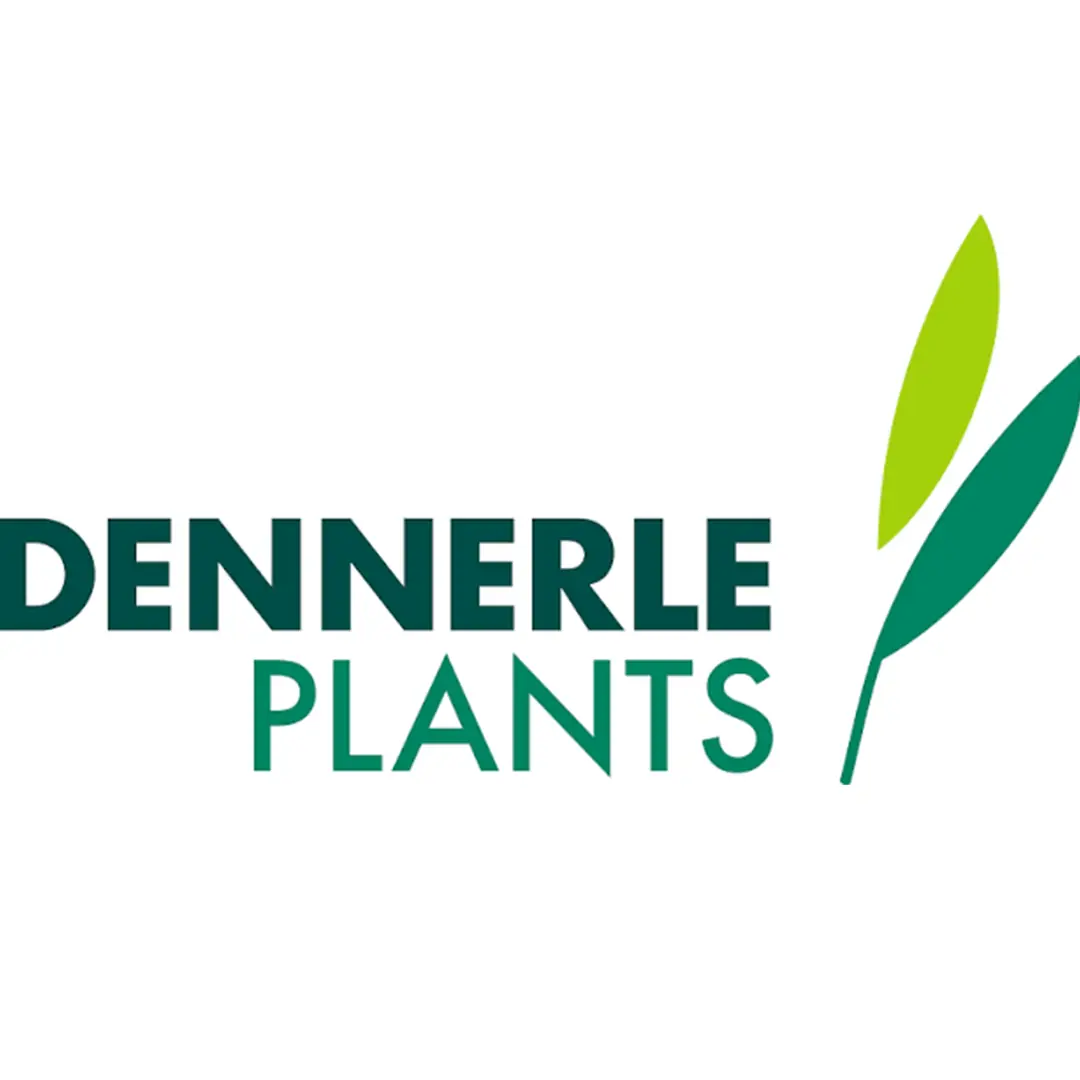 Dennerle Plants