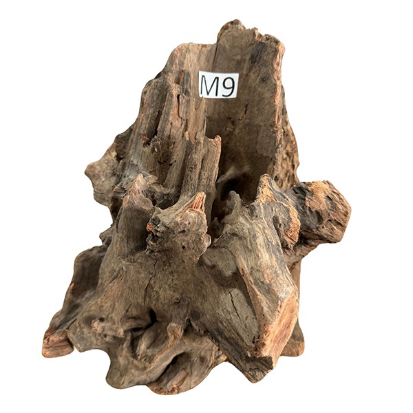 Medium 9