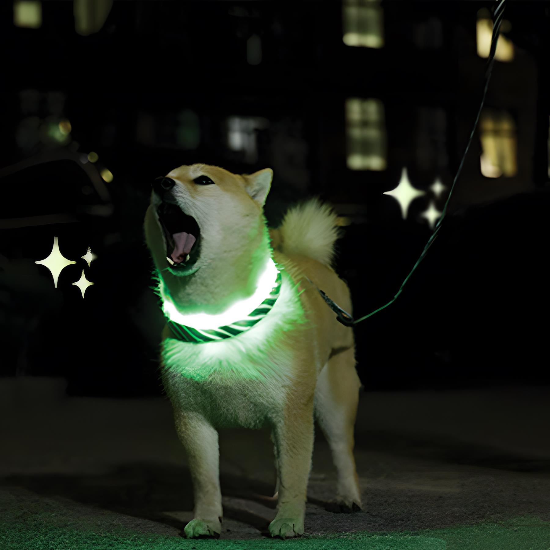 M-Pets Flash Ledli Boyun Tasması Neon Yeşil S