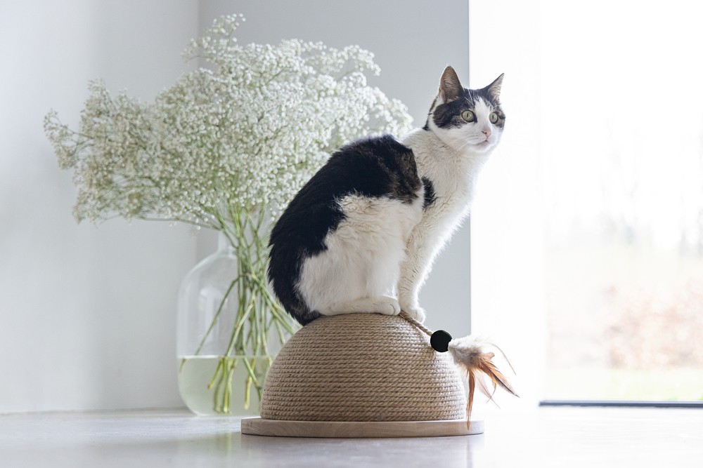 Beeztees DBL Kedi Tırmalama ve Oyuncağı, 34,5x34,5x18cm