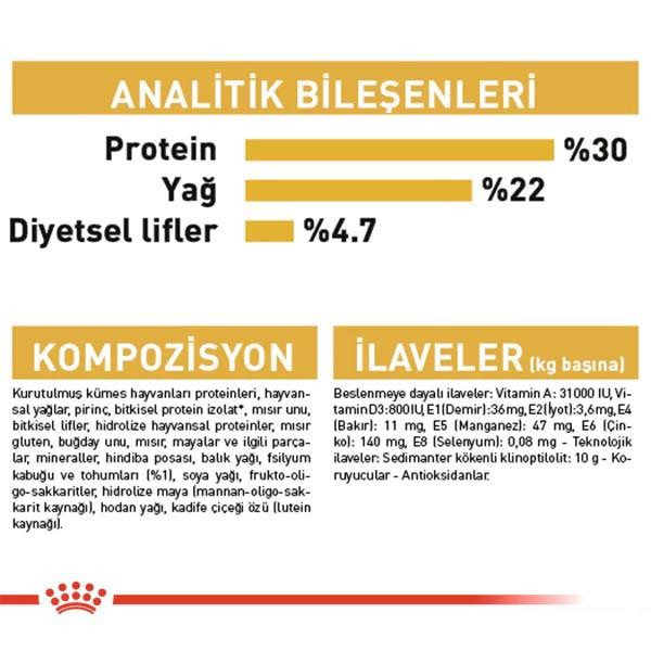 Royal Canin Persian Adult Yetişkin Kedi Maması 4 Kg