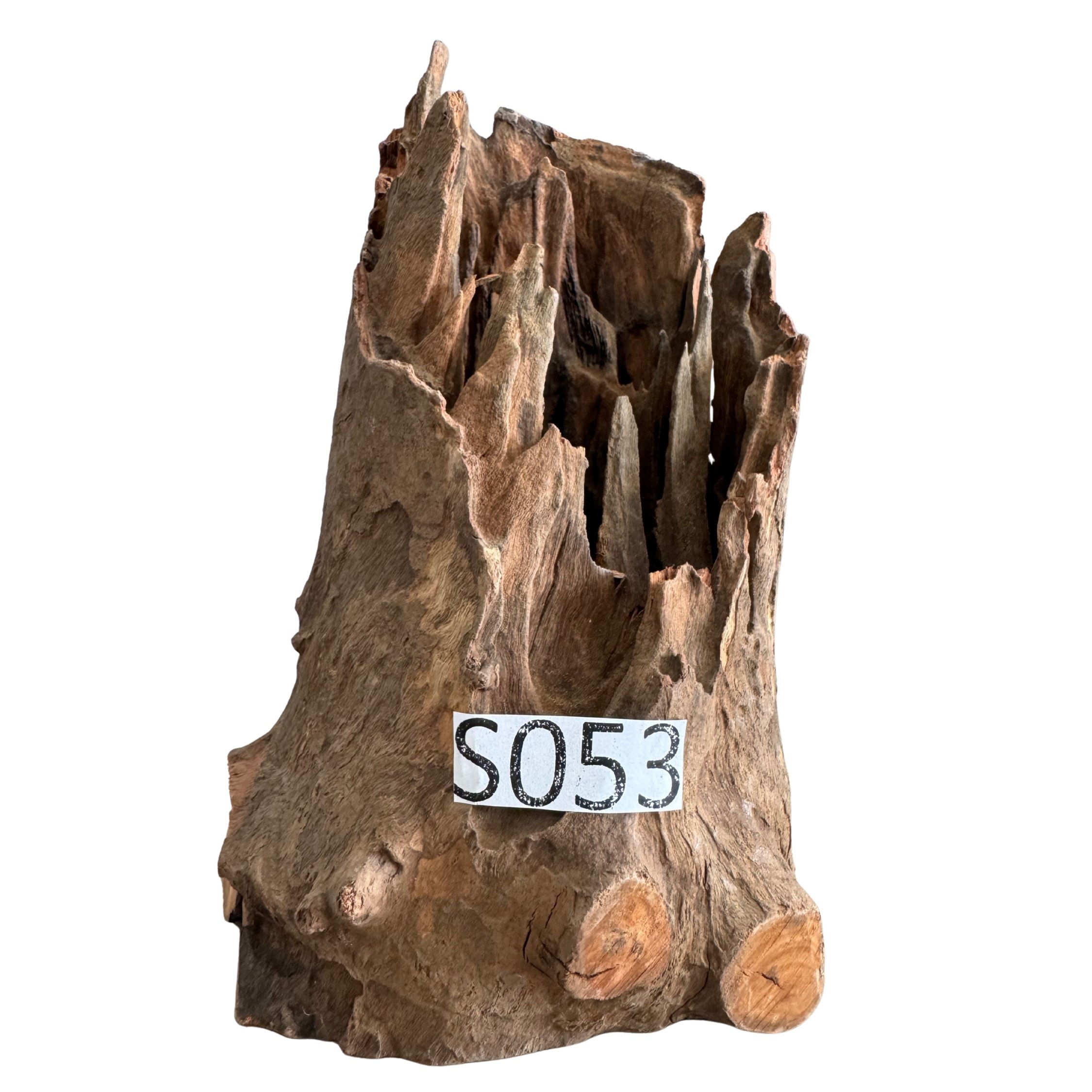 Small 53