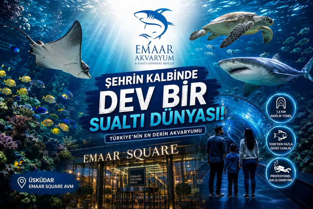 Emaar Akvaryum ve Sualtı Hayvanat Bahçesi; köpekbalıkları, vatozlar, deniz kaplumbağaları ve tropikal balıklarla çevrili etkileyici akvaryum alanları ve su altı tüneliyle İstanbul’da keşfedilebilecek dikkat çekici akvaryum deneyimlerinden biridir.