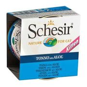 Schesir