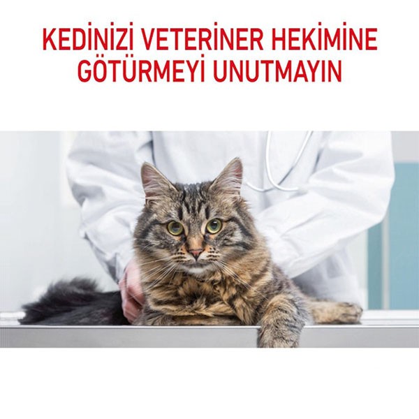 Royal Canin Oral Care Diş Sağlığına Özel Yetişkin Kedi Maması 1,5Kg
