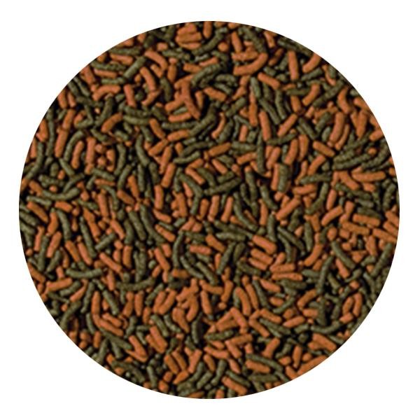 Tropical Cichlid Red Green Medium Sticks 100gr - Kovadan Bölme