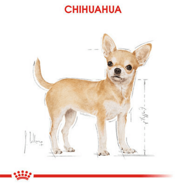 Royal Canin Chihuahua Adult Yaş Köpek Maması 85gr