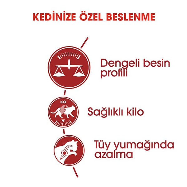 Royal Canin Adult Fit 32 Kedi Maması 400gr