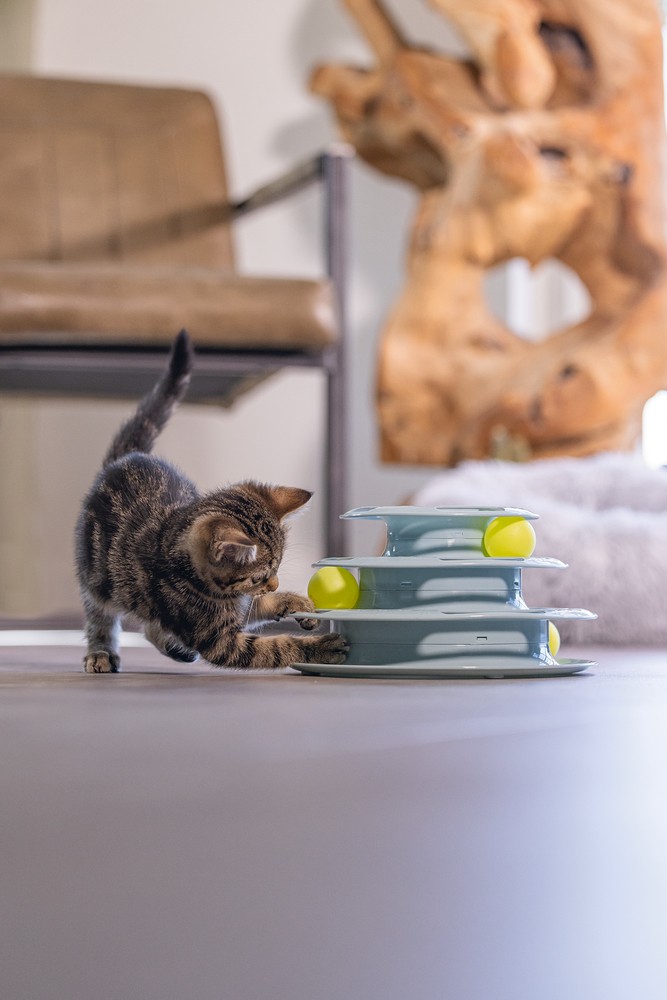 Beeztees Yavru Kedi Oyuncağı, 3 Katlı, 25x25x13cm