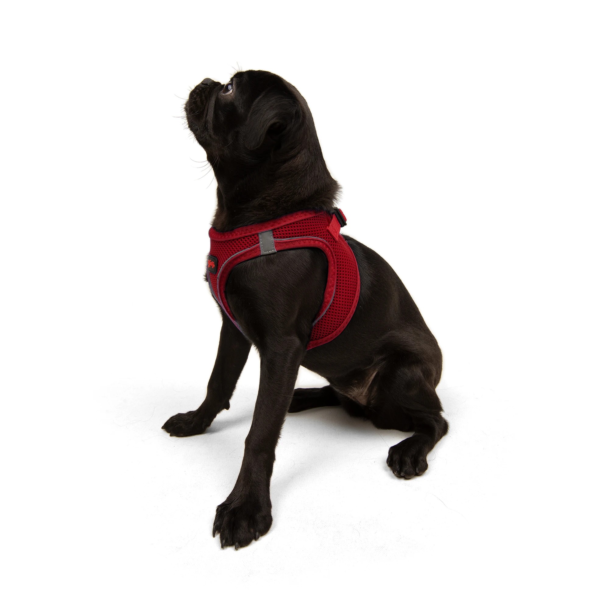 Tailpetz Air-Mesh Harness Red M