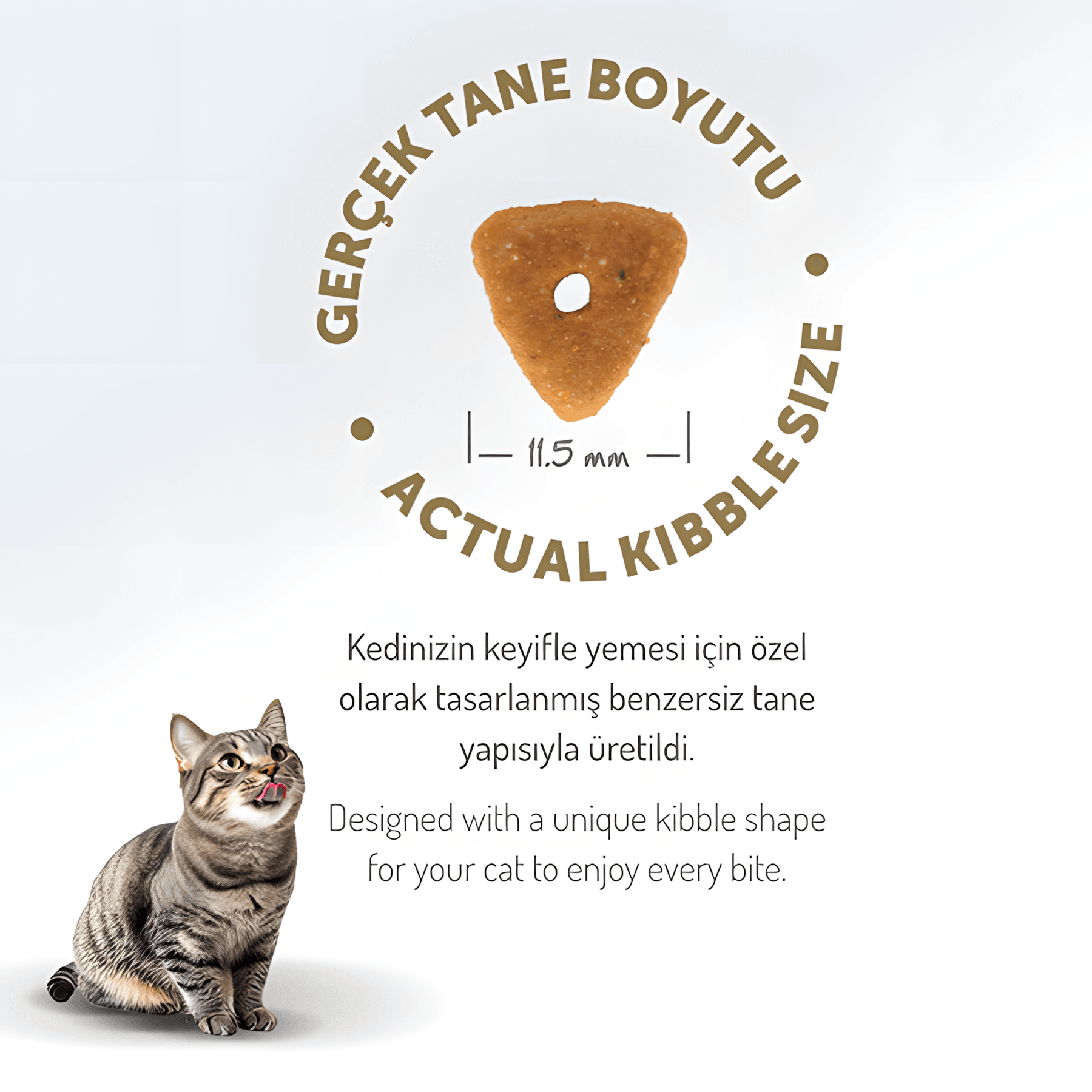 Felicia Az Tahıllı Somon Balıklı Hypoallergenic Kolajenli Kısırlaştırılmış Kedi Maması 12Kg
